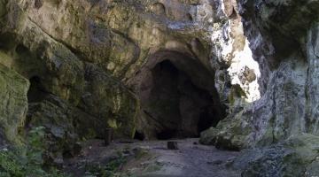 Jankovich-barlang, Bajót (thumb)